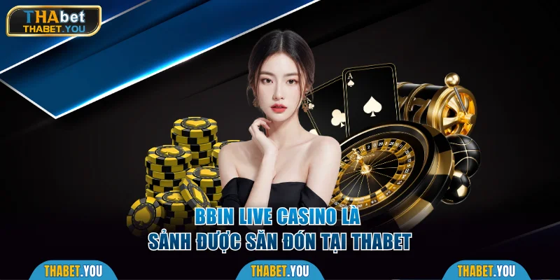 Bbin Live Casino là sảnh được săn đón tại Thabet