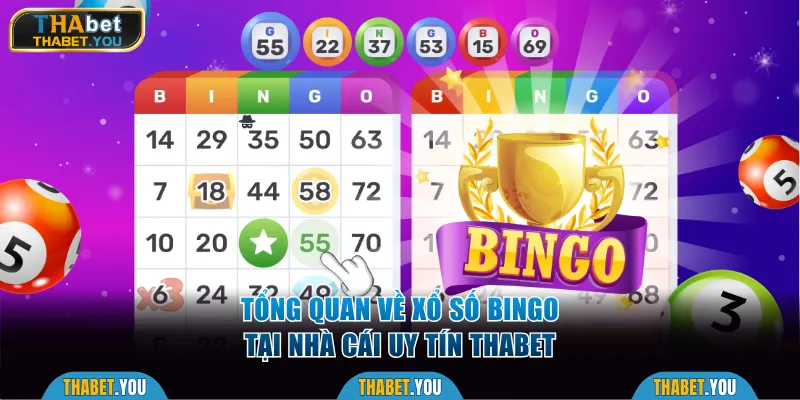 Tổng quan về Xổ Số Bingo tại nhà cái Thabet